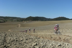 CRETE SENESI (1209)