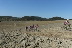 CRETE SENESI (1211)