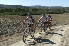 CRETE SENESI (1212)