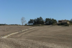 CRETE SENESI (1214)