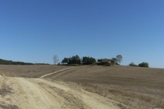 CRETE SENESI (1215)