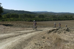 CRETE SENESI (1216)