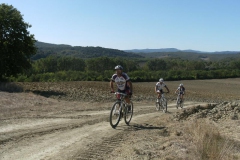 CRETE SENESI (1217)