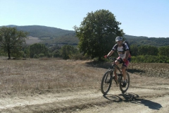 CRETE SENESI (1218)