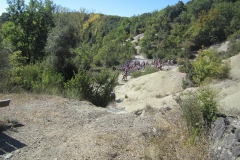 CRETE SENESI (1233)