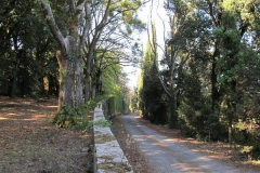 CRETE SENESI (1234)