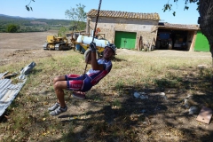 CRETE SENESI (1238)