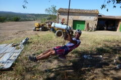 CRETE SENESI (1239)