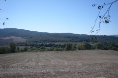 CRETE SENESI (1240)