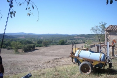 CRETE SENESI (1241)