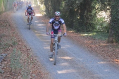 CRETE SENESI (1243)