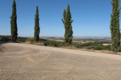 CRETE SENESI (1297)