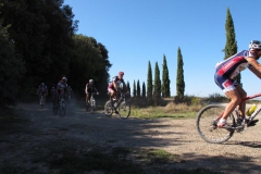 CRETE SENESI (1298)