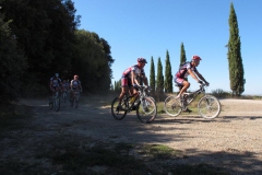 CRETE SENESI (1299)