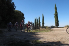 CRETE SENESI (1300)