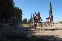 CRETE SENESI (1304)