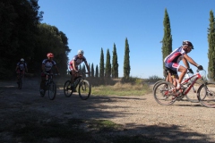 CRETE SENESI (1306)