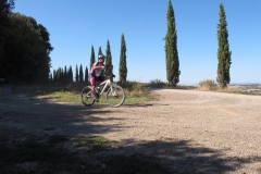 CRETE SENESI (1309)