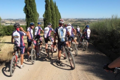 CRETE SENESI (1311)