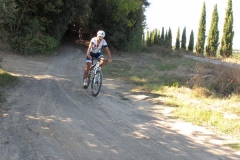 CRETE SENESI (1312)