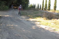 CRETE SENESI (1313)