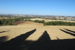 CRETE SENESI (1318)