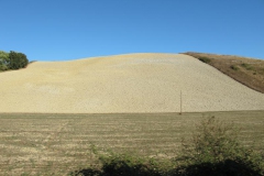 CRETE SENESI (1319)