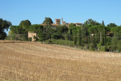 CRETE SENESI (1320)