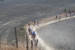 CRETE SENESI (1385)