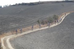 CRETE SENESI (1387)