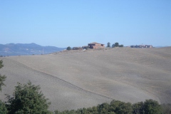 CRETE SENESI (1389)