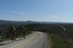 CRETE SENESI (1390)