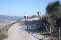 CRETE SENESI (1391)