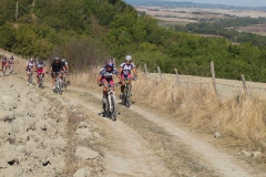 CRETE SENESI (1393)