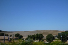 CRETE SENESI (1407)