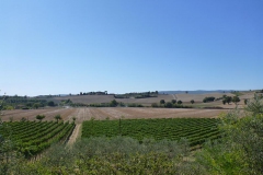 CRETE SENESI (1408)