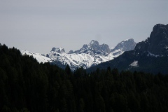 VALDIFASSA (1221)