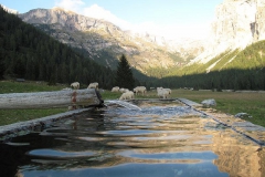 2012-VALGARDENA-1172