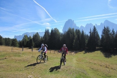 2012-VALGARDENA-1336