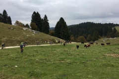 ASIAGO-2018 (1179)